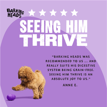 Barking Heads Puppy Days Wet Puppy Food 300g