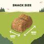Adventuros Salmon Training Dog Treats 115g