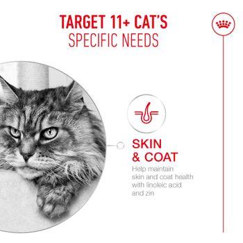 Royal Canin FHN Ageing Dry Cat Food 11+ 400g