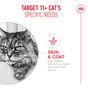 Royal Canin FHN Ageing Dry Cat Food 11+ 400g