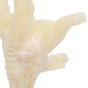 Jollyes Puffed Chicken Feet Individual Dog Treats