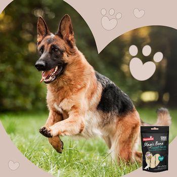 Rosewood Magic Dental Twist Dog Treat Medium 4 Pack 120g