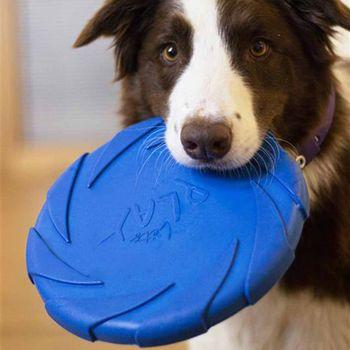Battersea Foam Frisbee Dog Toy