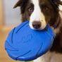 Battersea Foam Frisbee Dog Toy