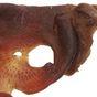 Jollyes Pig Snout Dog Treat