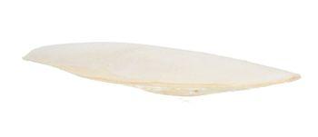 Countrywide Cuttlefish Bird Food, 6-8 Pack