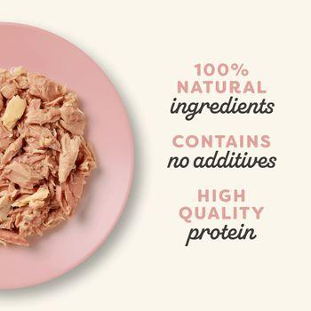 Applaws Cat Tin Tuna Fillet with Salmon in Broth 70g