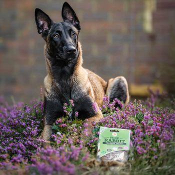 JR Pet Products Pure Rabbit Training Treats, 85g