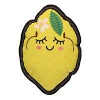 Rufus & Rosie Fruity Plush Dog Toy