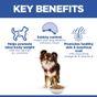 Hill's Science Plan Adult Light Small & Mini Dry Dog Food Chicken Flavour 1.5kg