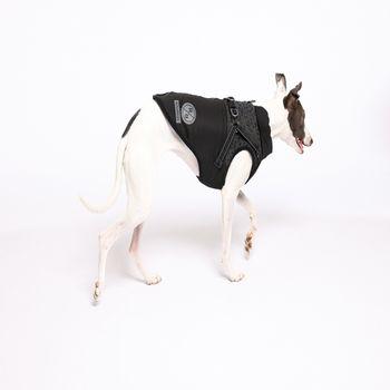 Rufus & Rosie Full Harness Dog Coat, Medium
