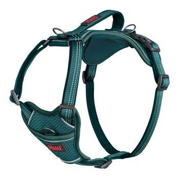 Halti Anatomy Dog Harness Teal Large