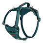 Halti Anatomy Dog Harness Teal Large