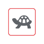 Reptiles