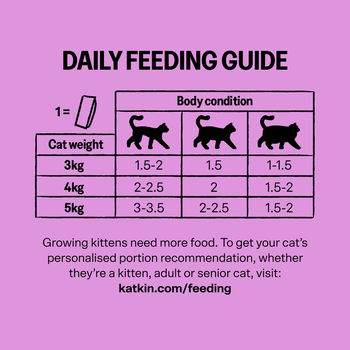 KatKin OINK Fresh Cat and Kitten Food (Pork) 1x80g