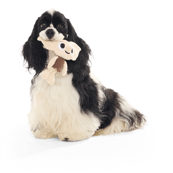 Bark Dobby Harry Potter Dog Toy