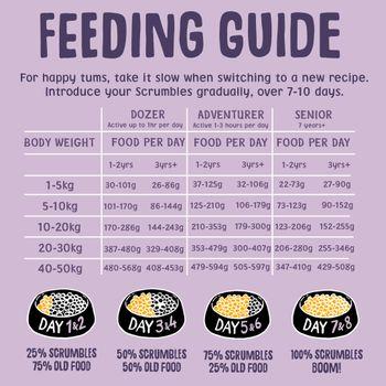 Scrumbles Dry Dog Food for Adult & Seniors Turkey 2kg