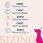 Doodlebone Snappy Mint Quilt Dog Harness 1-2