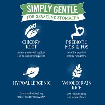 Butcher's Simply Gentle Foil Trays 12 x 150g