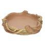 ProRep Root Dish Reptile Vivarium Accessory
