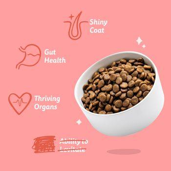 Edgard & Cooper Senior Dry Dog Food Chicken & Salmon 7kg