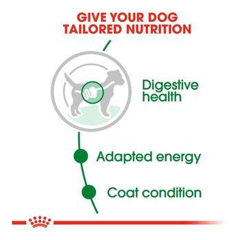 Royal Canin Wet Dog Food Mini Adult in Gravy 12x85g