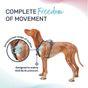 Halti Anatomy Dog Harness Teal X-Small