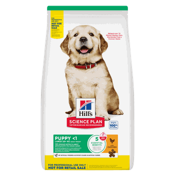 Hill's Science Plan Puppy Large Breed Dry Dog Food Chicken Flavour 12kg