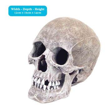 Skull aquarium decorations new arrivals