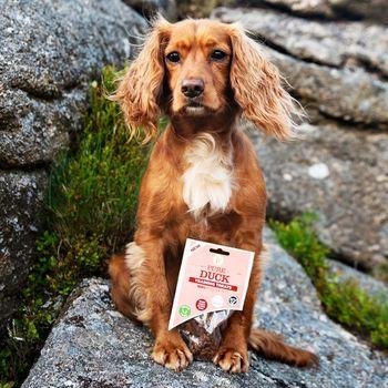 JR Pet Products Pure Duck Training Treats, 85g