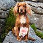 JR Pet Products Pure Duck Training Treats, 85g