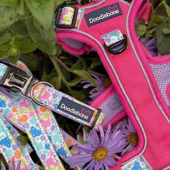 Doodlebone Trendy Tails Padded Dog Collar Pink 1-2