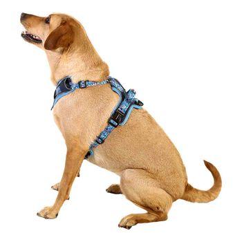 Doodlebone 'With Me' Dog Harness Blue 2-4