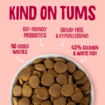 Scrumbles Dry Dog Food for Adult & Seniors Salmon 2kg