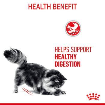 Royal Canin Digestive Care Wet Cat Food in Gravy 48x85g
