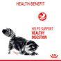 Royal Canin Digestive Care Wet Cat Food in Gravy 48x85g