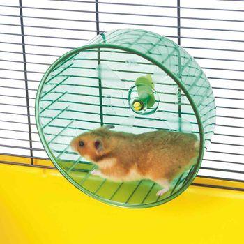 Large hamster wheel hotsell