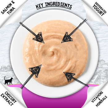Cookhouse Luxury Licks Puree Cat Treat Salmon 6x15g