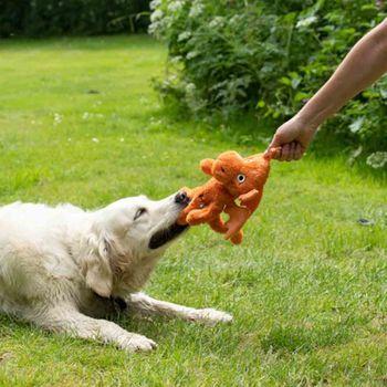 Seriously Strong Mighty Dragon Plush Dog Toy