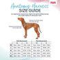 Halti Anatomy Dog Harness Teal X-Small