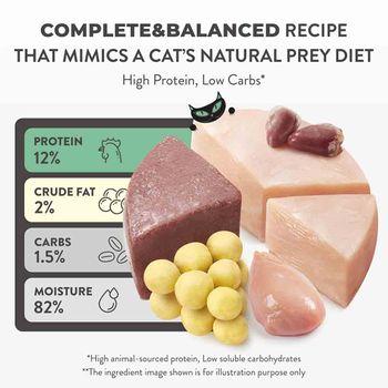 Schesir After Dark Complete Wet Cat Food Chicken & Quail Egg in Fillets 80g