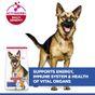 Hill'S Science Plan Mature Adult Large Breed Dry Dog Food Chicken Flavour 14kg