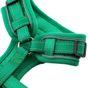 Doodlebone Trendy Tails Stomp Dog Harness Green 4-7