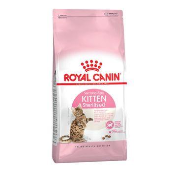 Canin royal kitten best sale