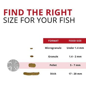 Fluval Bug Bites Cichlid Fish Food Granules, 45g