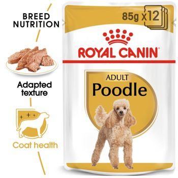 Royal Canin Wet Dog Food Wet Poodle 85g