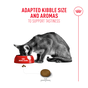 Royal Canin Fussy Dry Cat Food 2kg