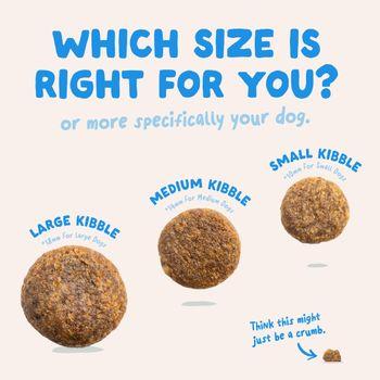 Edgard & Cooper Adult Dry Dog Food Salmon 2.5kg