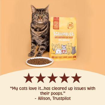 Scrumbles Dry Cat Food for Adult & Seniors Chicken 750g