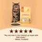 Scrumbles Dry Cat Food for Adult & Seniors Chicken 750g